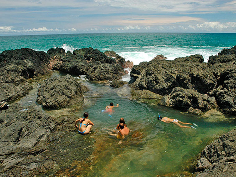Excursiones pedagógicas El Almejal - Hoteles en Bahía Solano Pacífico