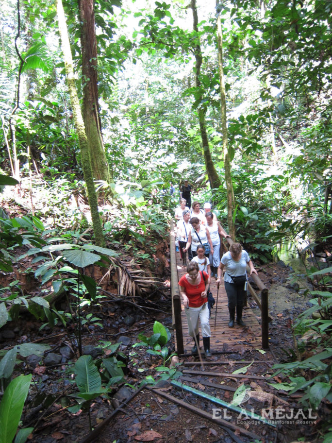 el almejal hotel en bahia solano pacifico colombiano reserva-natural-rainforest