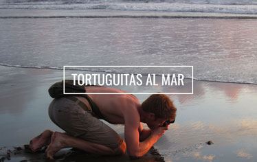 Tortuguitas al Mar. Hoteles en Bahía Solano. El Almejal
