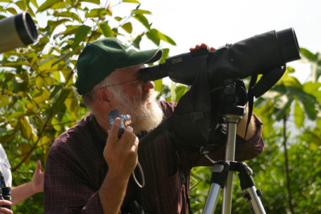 birdwatching en el almejal ecoturismo en el pacifico colombiano