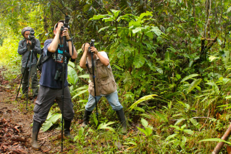 birdwatching en el almejal ecoturismo en el pacifico colombiano
