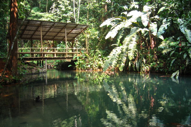 Reserva Natural - El Almejal - Hoteles en Bahía Solano