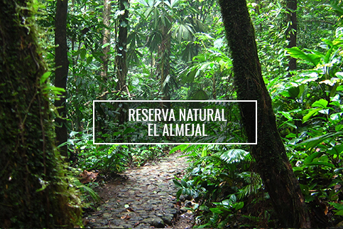 Reserva Natural - El Almejal - Hoteles en Bahía Solano